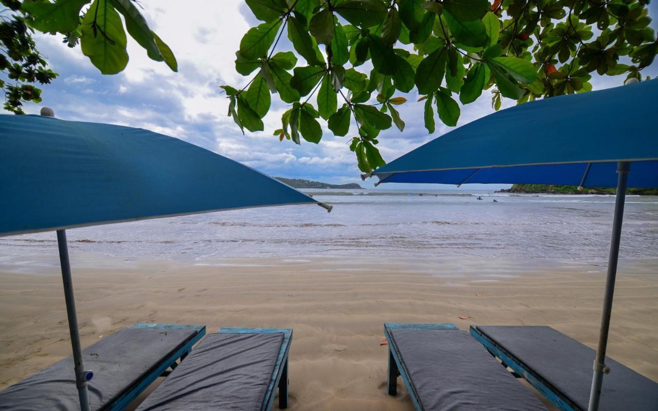 Palm Leaf Surf Cafe Otel Galle Dış mekan fotoğraf